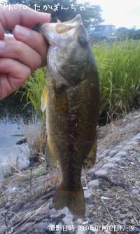 �֥�å��Х�