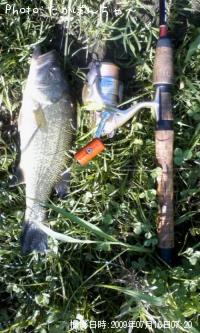 �֥�å��Х�