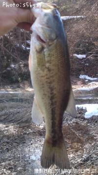 �֥�å��Х�