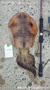 �����ꥤ��