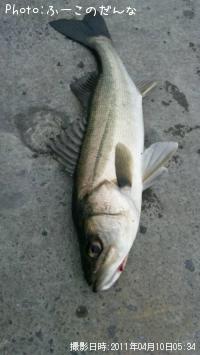 �����Х�