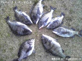 º£Æü¤Î¥¯¥í¥À¥¤