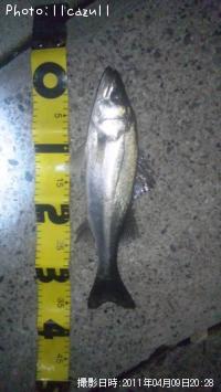 �����Х�