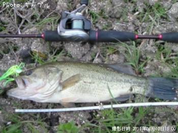 �֥�å��Х�