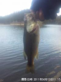 �֥�å��Х�