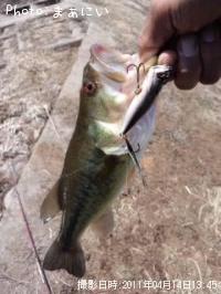 ¥Ö¥é¥Ã¥¯¥Ð¥¹¡Ê¥é¡¼¥¸¡Ë