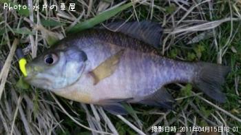 ø���Х�ʾС�