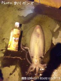 ¥¢¥ª¥ê¥¤¥«