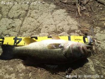 �֥�å��Х�