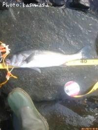 �����Х�