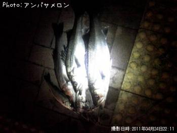 �����Х�