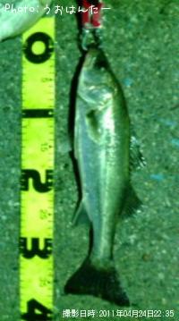 �����Х�