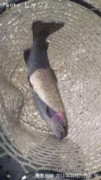 ¥ì¥¤¥ó¥Ü¡¼¥È¥é¥¦¥È