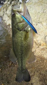 ¥Ö¥é¥Ã¥¯¥Ð¥¹