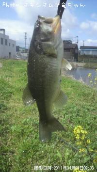 ¥Ö¥é¥Ã¥¯¥Ð¥¹