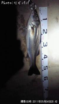 �����Х�