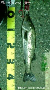 �����Х�