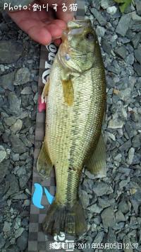 ¥Ö¥é¥Ã¥¯¥Ð¥¹