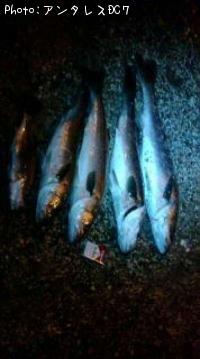 �����Х�