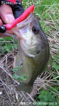 ¥Ö¥é¥Ã¥¯¥Ð¥¹