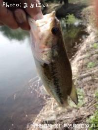 �֥�å��Х�