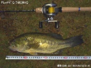 �֥�å��Х�