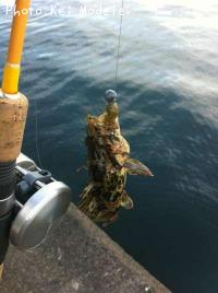 �������ʥ������