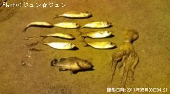 �������������������ե�