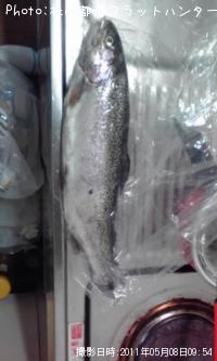 ¥ì¥¤¥ó¥Ü¡¼¥È¥é¥¦¥È