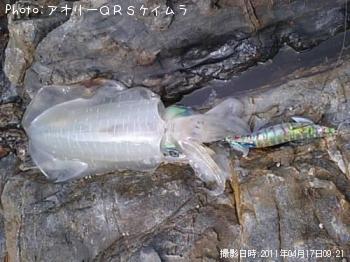 �����ꥤ��