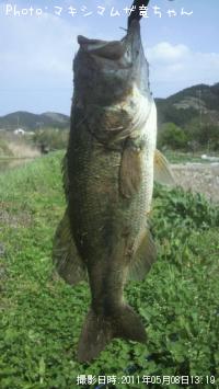 �֥�å��Х�