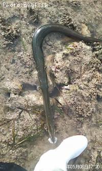 �����䥬��