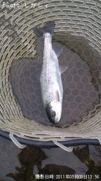 ¥ì¥¤¥ó¥Ü¡¼¥È¥é¥¦¥È