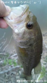 �֥�å��Х�