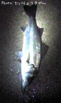 �����Х�