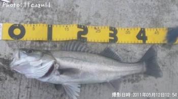 �����Х�