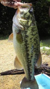 ¥Ö¥é¥Ã¥¯¥Ð¥¹