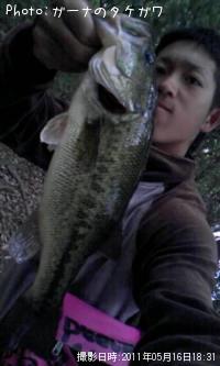 �֥�å��Х�