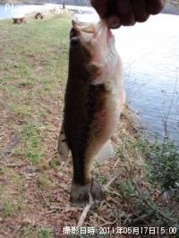 �֥�å��Х�