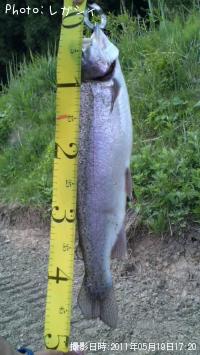 �쥤��ܡ��ȥ饦��