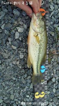 ¥Ö¥é¥Ã¥¯¥Ð¥¹