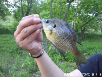 �֥롼����