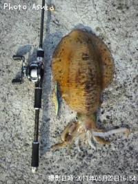 �����ꥤ��