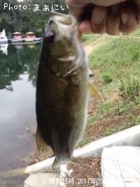 �֥�å��Х�