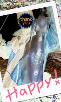 �����ꥤ��