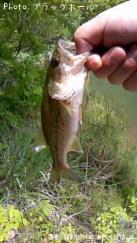 �֥�å��Х�