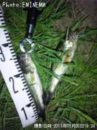 �֥�å��Х�