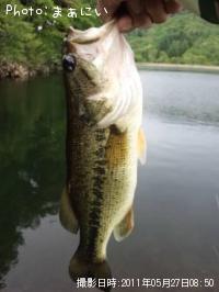 �֥�å��Х�