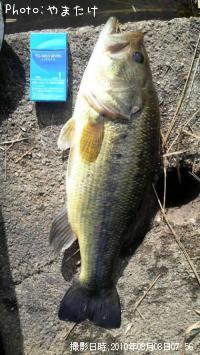 �֥�å��Х�