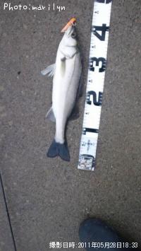 �����Х�